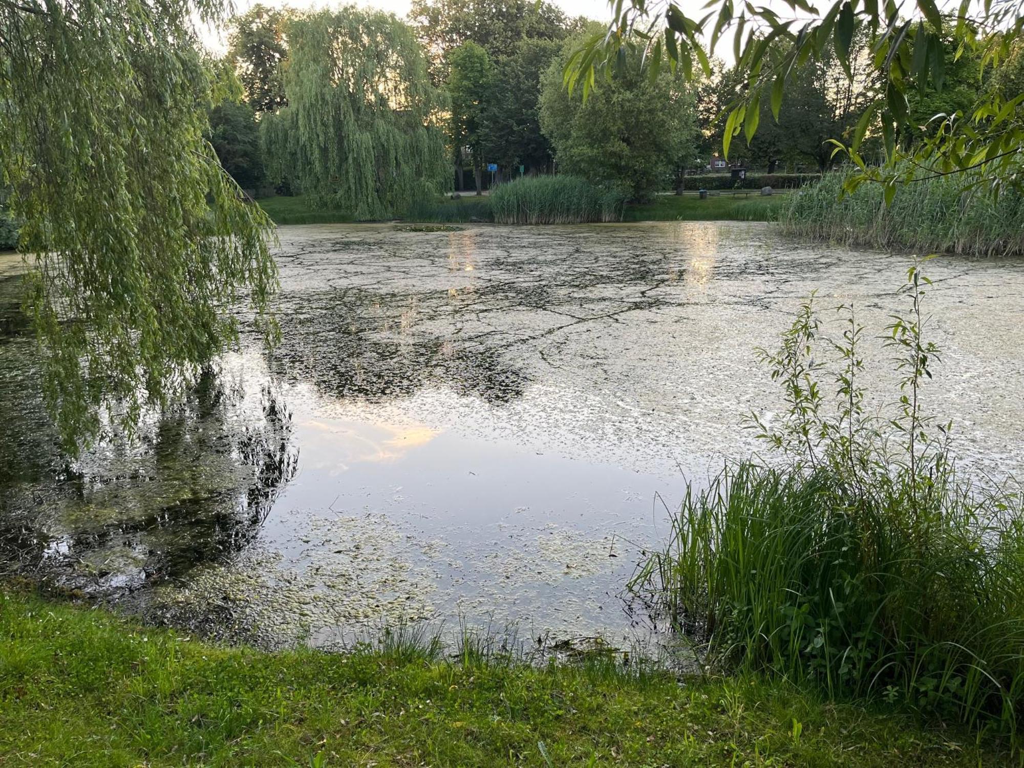 Pfarrhaus Tollensesee Penzlin Exterior foto