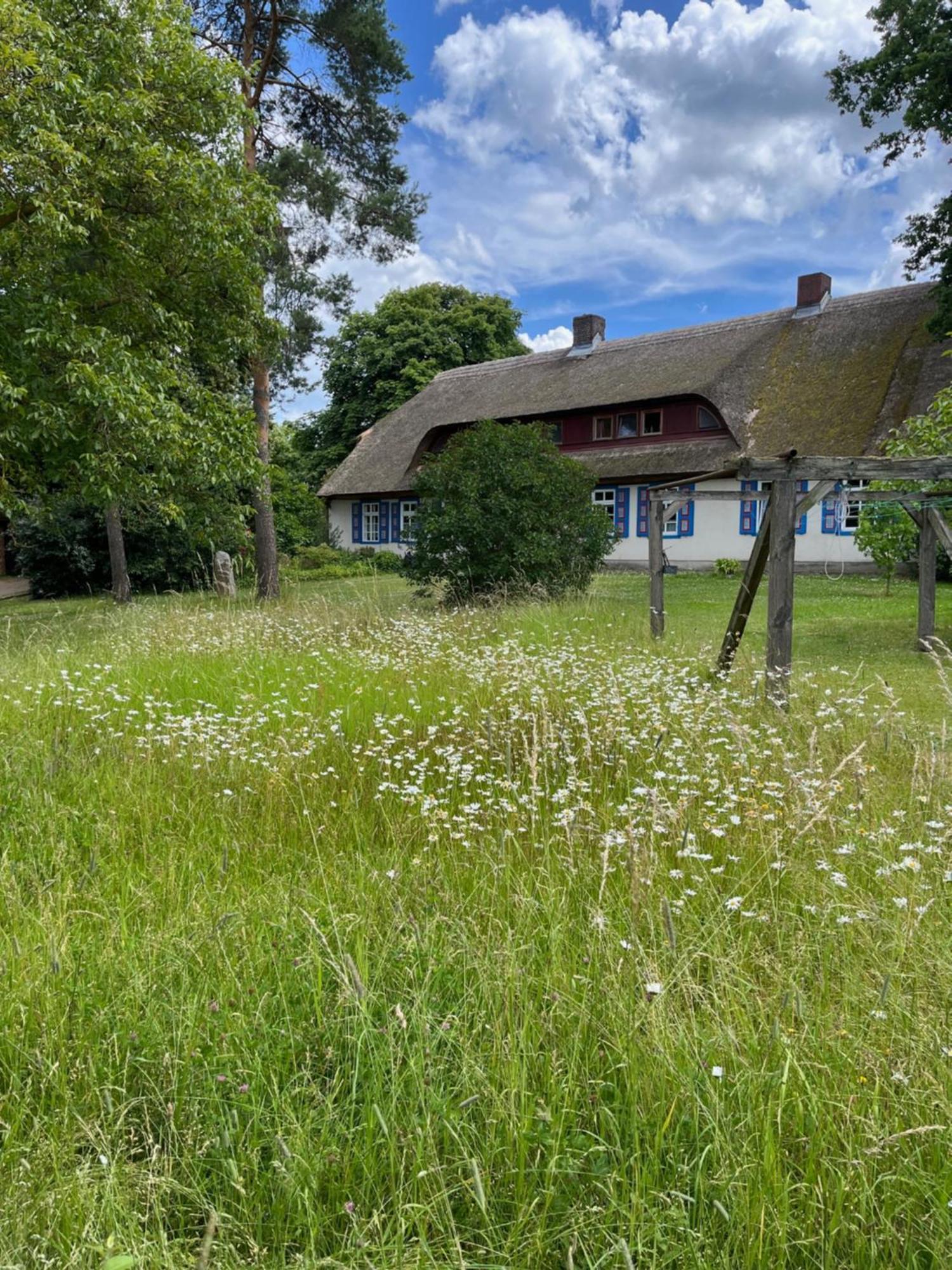 Pfarrhaus Tollensesee Penzlin Exterior foto