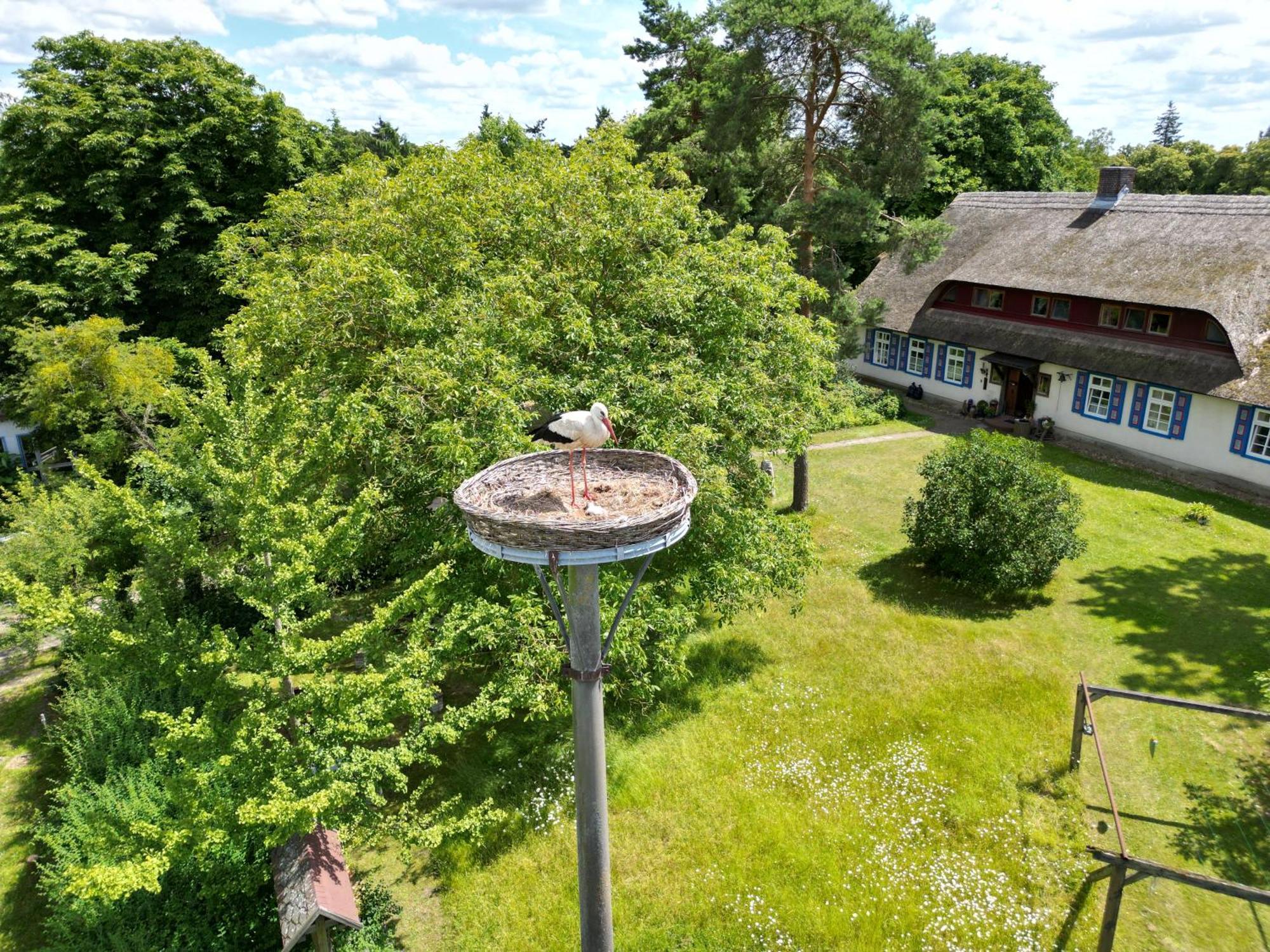 Pfarrhaus Tollensesee Penzlin Exterior foto